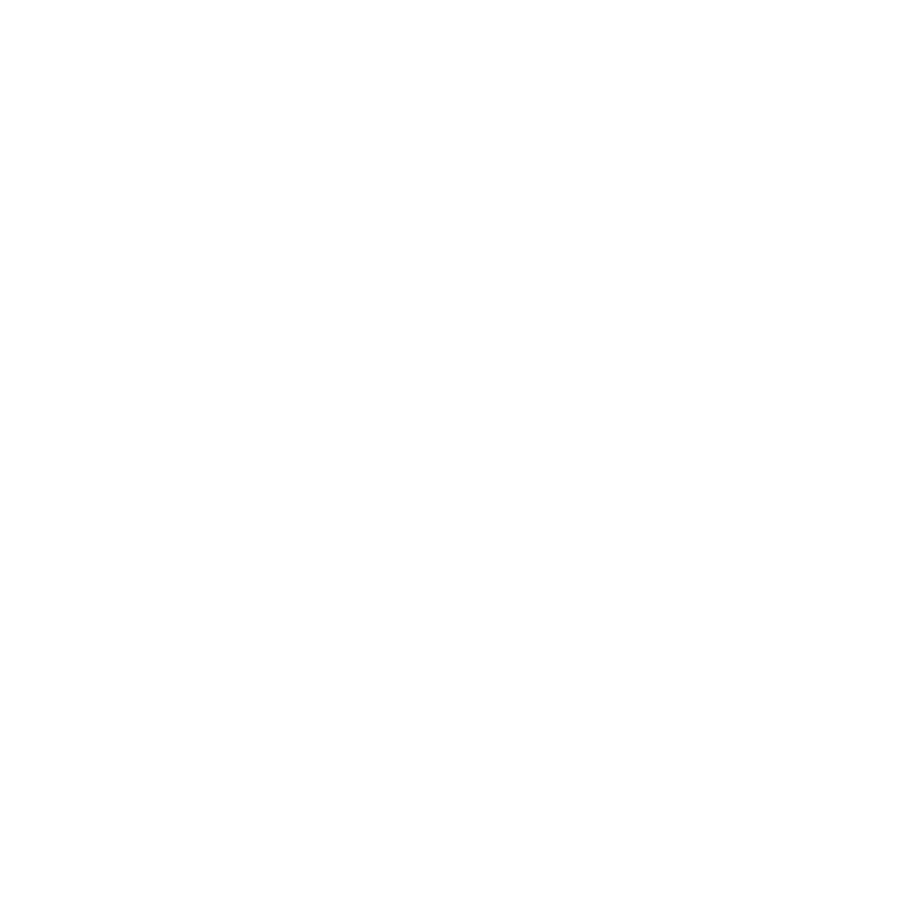 Логотип без недписей белый